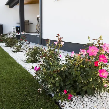 Noemi Villa *